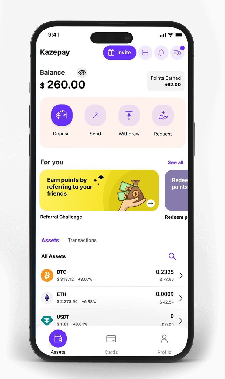 KazePay App Assets