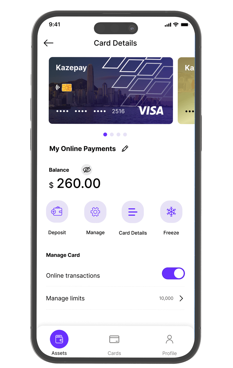 KazePay App Spending